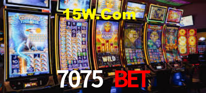 Interface Premium 7075 Bet